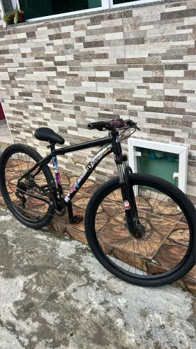 bike Aro 29