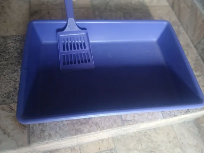 Banheiro para gatos