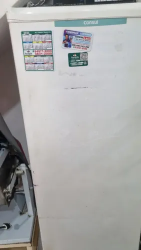 Freezer Vertical Consul