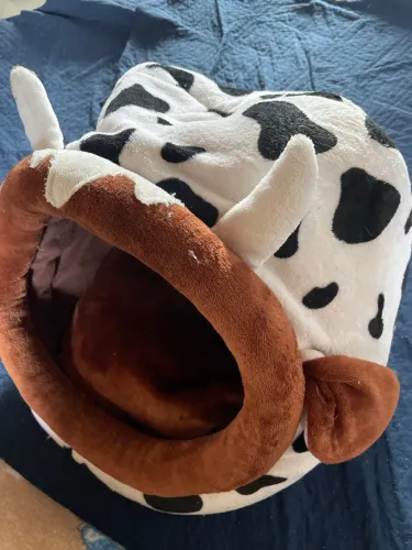 Cama media pet