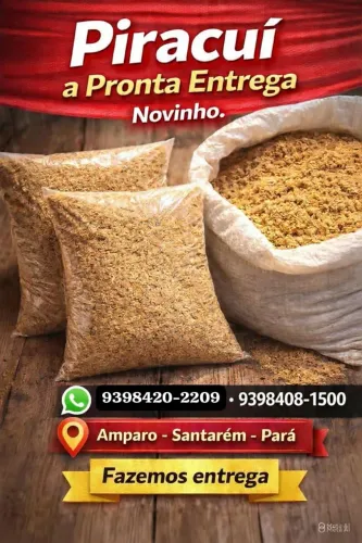 Piracuí 