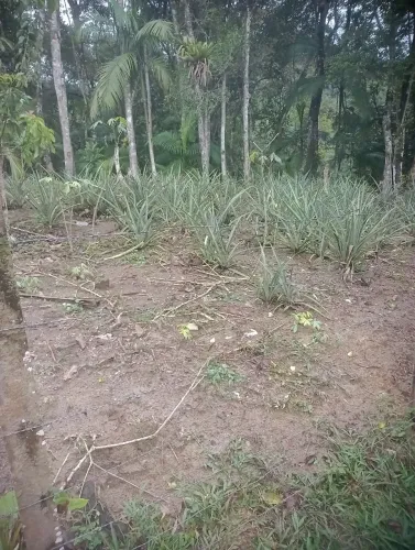 Terreno à venda