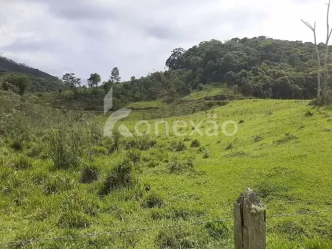 Um Refúgio para a Vida,trabalho e natureza Propriedade unica com 84 alqueires