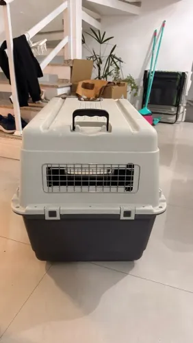 Caixa de transporte animal médio porte