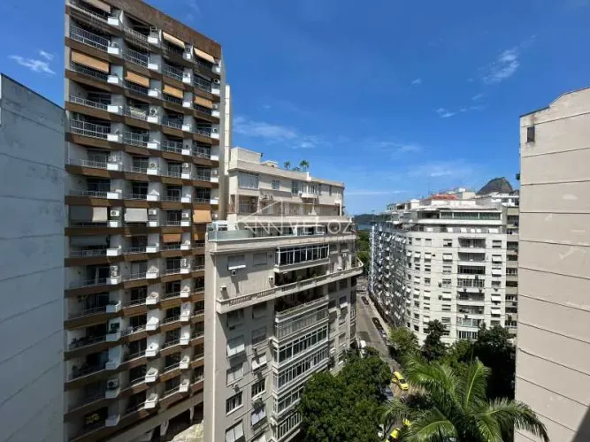 Apartamento - / Residencial / Flamengo