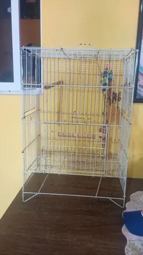 Gaiola para pássaros