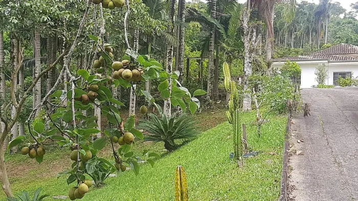 Casa em Rua João Gottardi - Espinheiros - Itajaí/SC