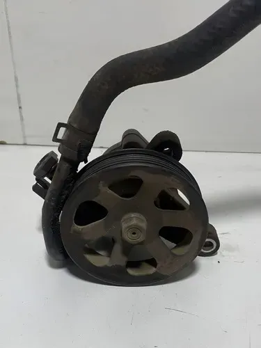 Bomba De Direçao Hidraulica Santa Fe 3.5 V6
