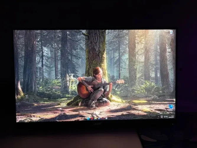 Monitor Gamer Acer Vg240y