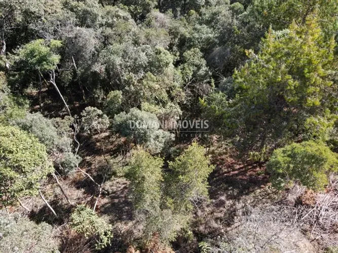 Belo Lote de Terreno à Venda na Região de Descansópolis - Campos do Jordão/SP