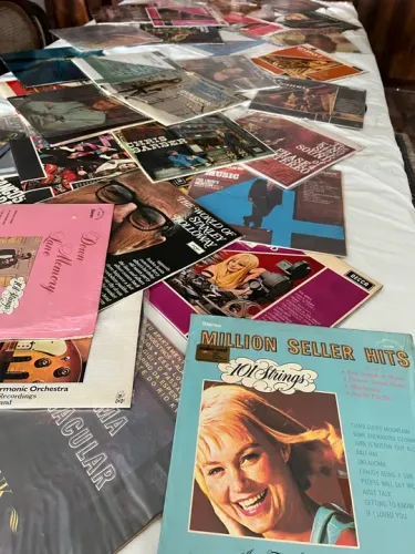 Lotes de Vinil - Raridades Musicais!