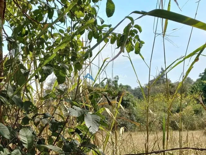 Terreno à venda em Campinas, Sousas, com 20253 m², Bosques de Notre Dame
