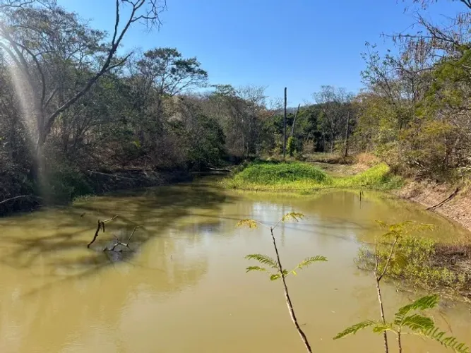 Excelente terreno rural de 9,5 hectares, com casa, lagoa, pomar produzindo e curral.