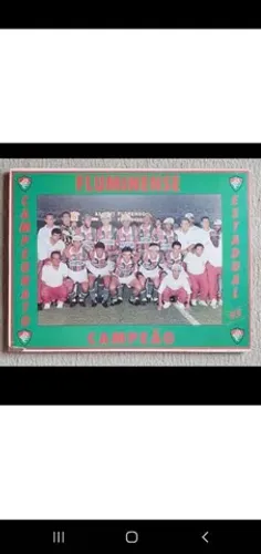 Quadro fluminense fc