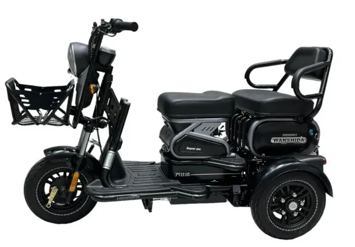 Triciclo Elétrico 1000W Com 2 Lugares Bateria de Lithium 22018