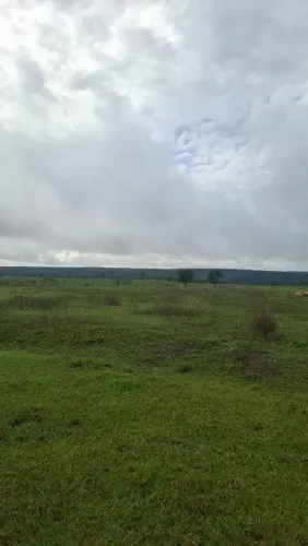 Fazenda de arrendamento de Soja, 1.700 hec em Juara MT. Pode chegar a 5 mil hec.