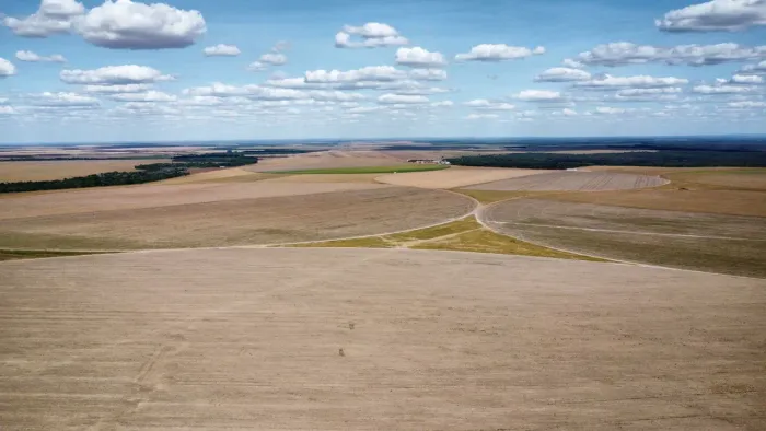Fazenda 6.551 hec no sul do Maranhão,planta hoje 3.411 hec 300 milhões.
