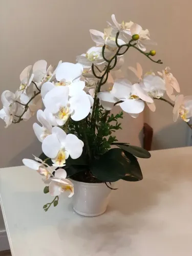 Arranjo de Orquídeas Brancas Artificial Elegante