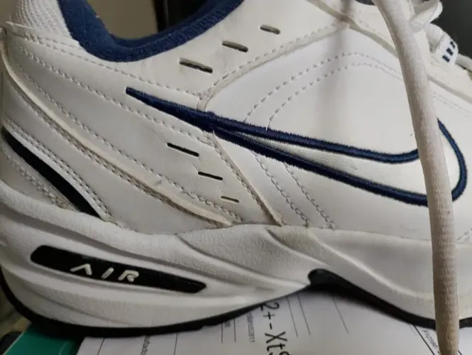 Tenis Nike Air Monarch 