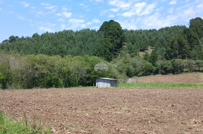 Vendas Chácara Bocaiúva Do Sul PR