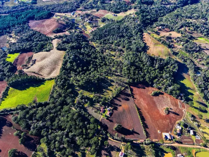 Sitio Completo em Tijucas do Sul