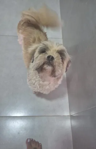 Doação