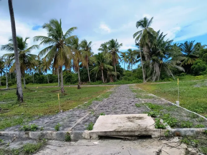 Terrenos em Porto de Galinhas - Oportunidade única!!
