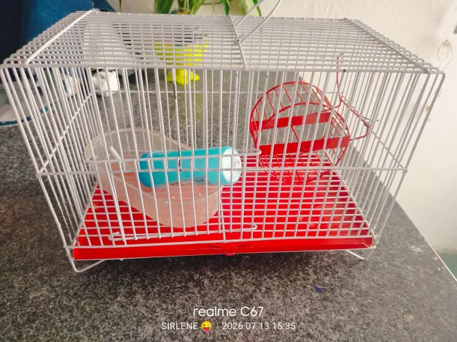 Utensílios para pet