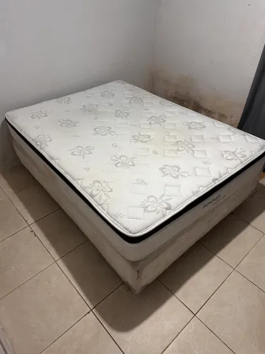 Cama