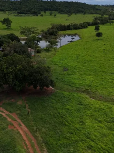 Terra para gado