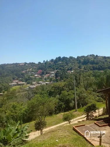 Chácara com 9 dormitórios à venda, 20000 m² - Capivari - Colombo/PR