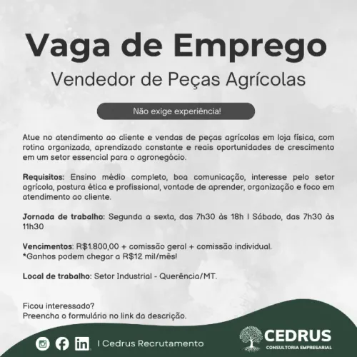 Vendedor I Peças Agrícolas #342779