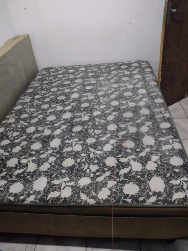 Cama