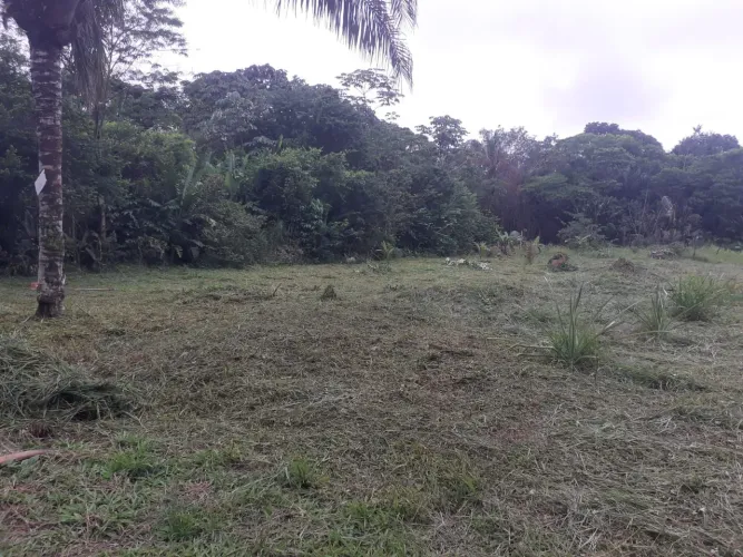 vende se um terreno em são Francisco Barcarena medindo 20 de frente por 40 de comprimento 