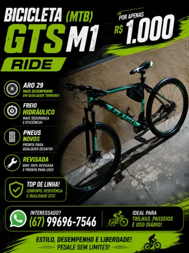 Bicicleta Aro 29 GTSM1