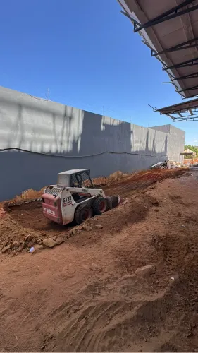 Bobcat diária 