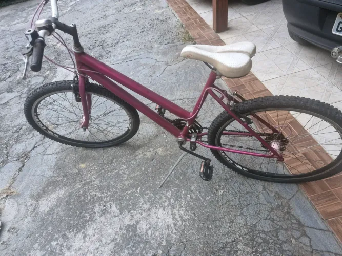 Bicicleta Rosa Pink