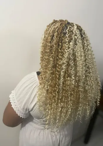 Gypsy braids 