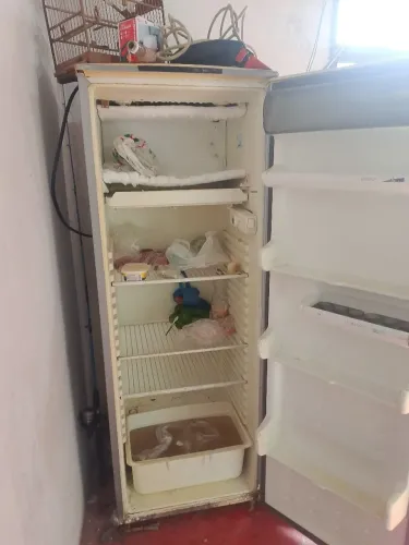 Geladeira