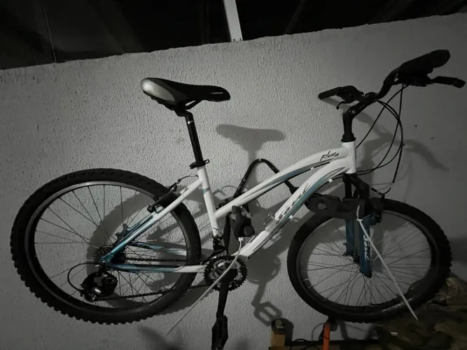 Bicicleta soul flora aro 26