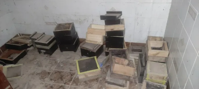 Caixas usadas INPA para abelhas sem ferrão ASF