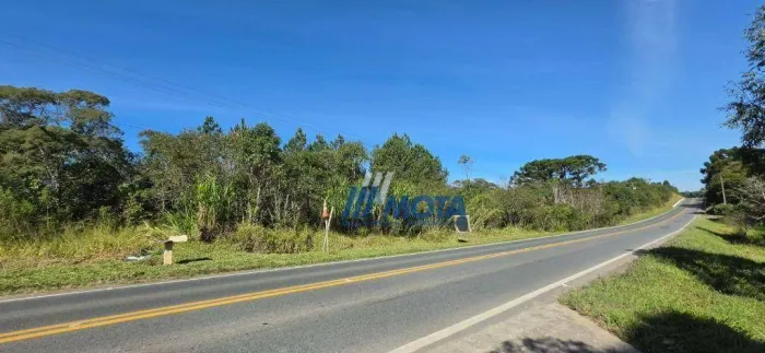 Área à Venda em Colombo, Frente para a Estrada da Ribeira Excelente oportunidade de invest