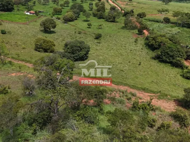 Chacara 20 mil m2 Goianira - GO