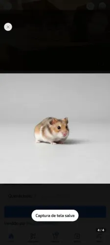 Hamister