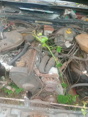 motor e câmbio