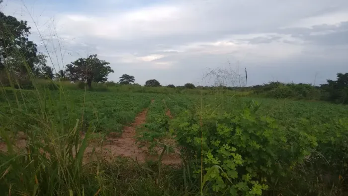 Lote em Aquiraz