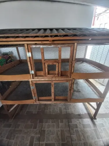 Acessórios para pets