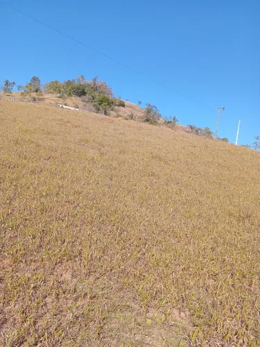 Arrendo alugo área para plantio