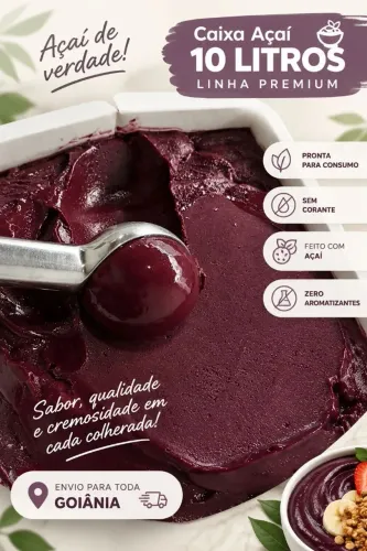 AÇAÍ CREMOSO 10 LITROS