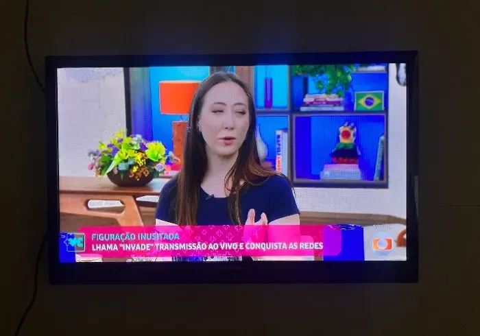 Televisão